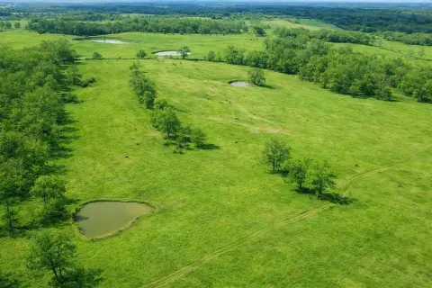 Fenced Ozark Farm