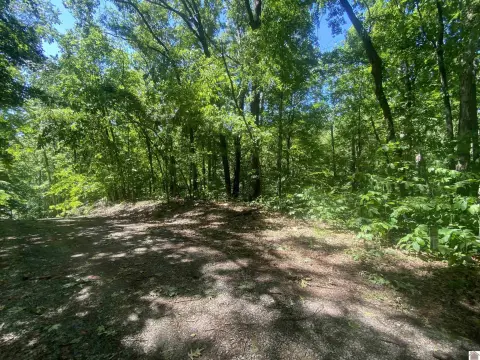 Residential Land in Cadiz, KY