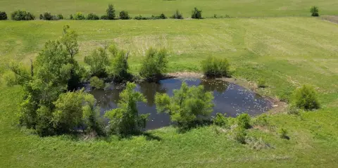 Pastureland with Water and Electric