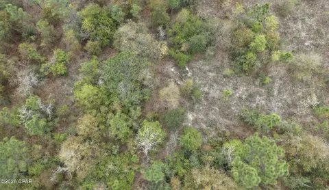 Vacant Land in Sunny Hills