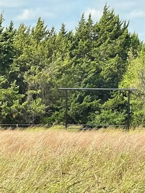 Ranch Land in Forestburg, Texas