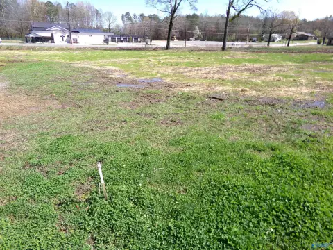 Commercial Lot in Centre, AL