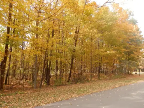 Residential Lot in Deerwood Estates