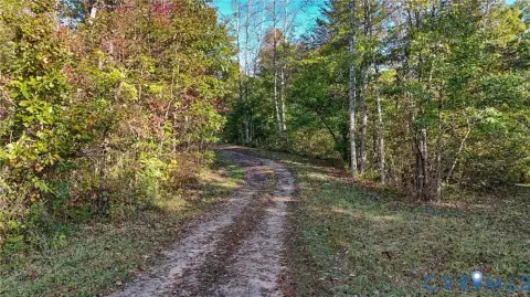38.76 Acres in Dillwyn, VA