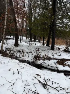 Stanwood Recreational Land For Sale