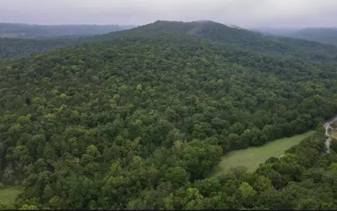 Hunting Land with Hardwood Timber