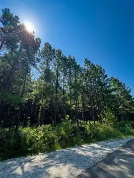 Residential Wooded Lot for Cabin Build
