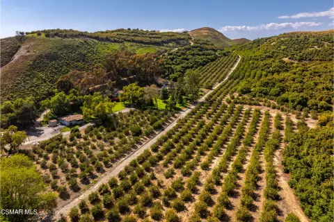 Somis Ranch with Income Potential