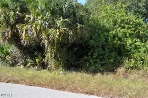 Vacant Land in Lehigh Acres