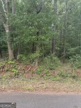 Thomaston, GA Land For Sale