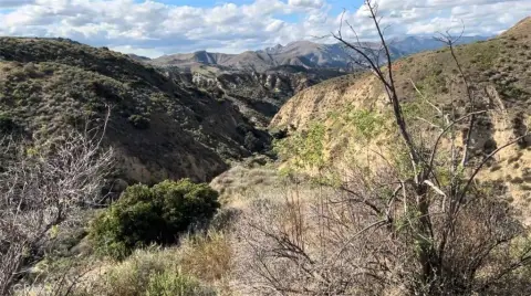 Castaic Land For Sale