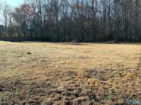 Ready-to-Build Lot in Arab, AL
