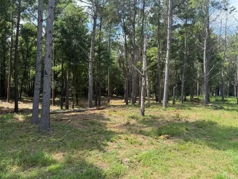 Wooded Cabin Lot in Resort