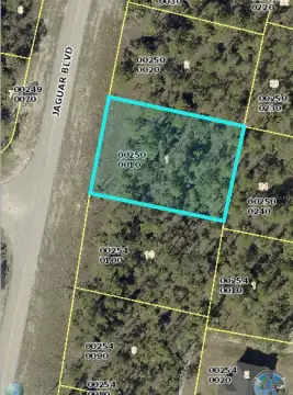 Residential Land in Lehigh Acres