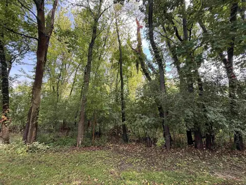 Wooded Lot with Lake Access