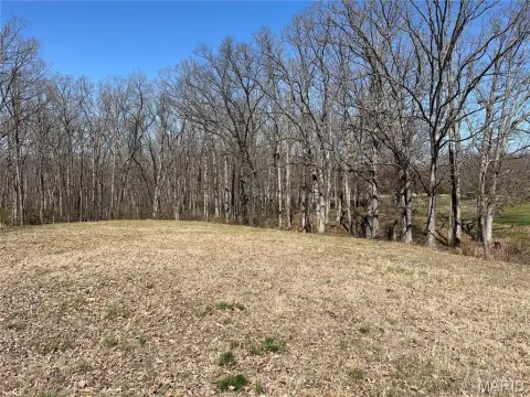 Residential Land in Troy, MO