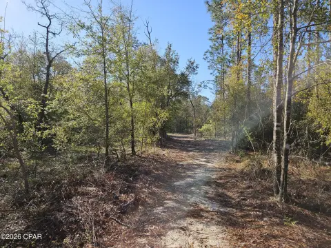 Cul-de-Sac Land Parcel