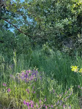 Land/Lot with Lakeview Potential