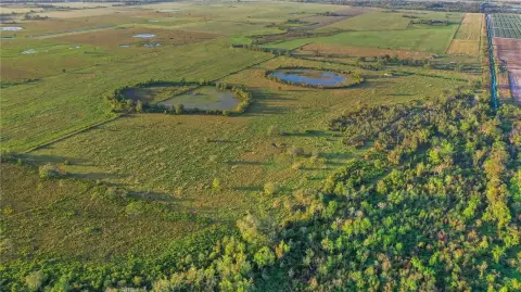 Fenced 83+Acre Farm Parcel