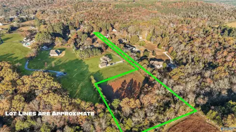 Decatur Homesite on 4 Acres