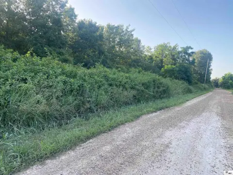 Hardwood Hunting Tract with Stands