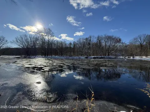 Land in Portland, Michigan