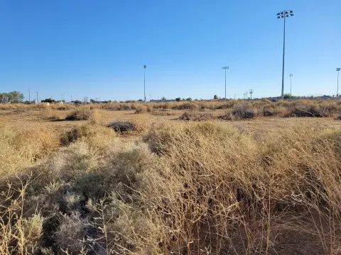 Residential Lot Near Balsitis Park