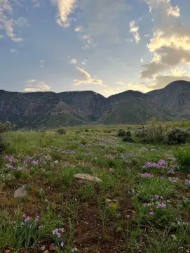 Expansive Land Parcel South Scipio
