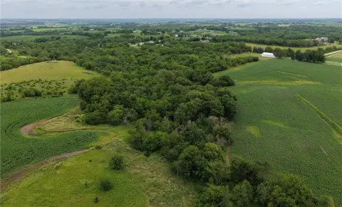 Recreational Acreage with Timber