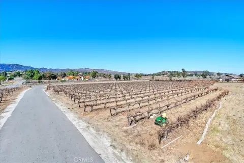 Vineyard Property With Estate Plans