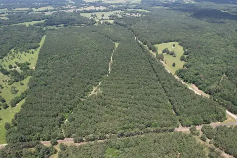 Pine Plantation Hunting and Recreational Land