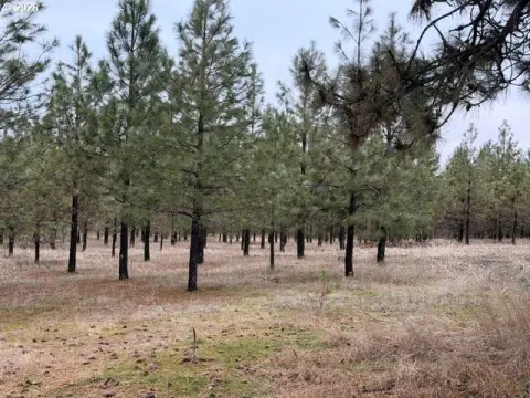 34.6 Acres in Goldendale, WA