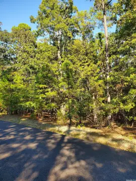 Hot Springs Village Residential Lot