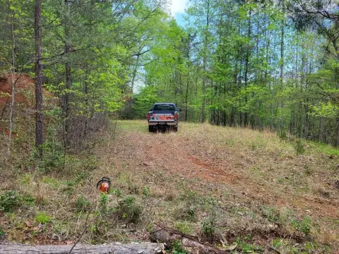 Unrestricted Land in Cowee Valley