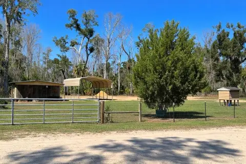 Acreage Lot Near Steinhatchee River