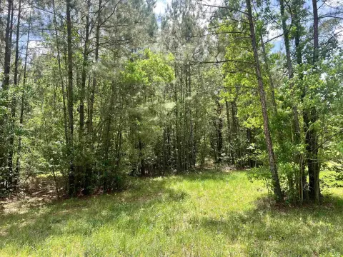 Lumberton Acreage For Sale