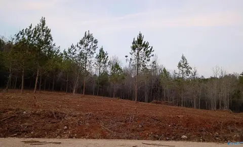 Piedmont, AL Acreage for Sale