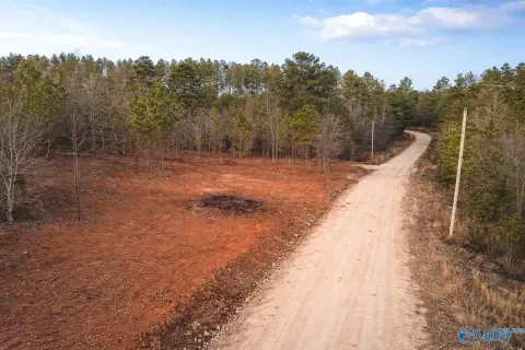 Piedmont, AL Acreage for Sale