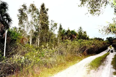 Vacant Lot in Punta Gorda