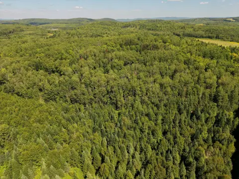 Wooded Residential Land
