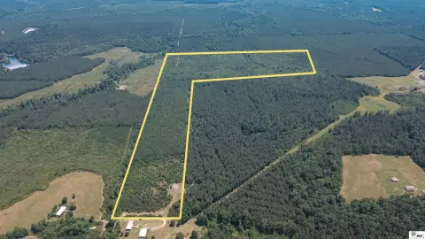 Timber Tract with Road Frontage