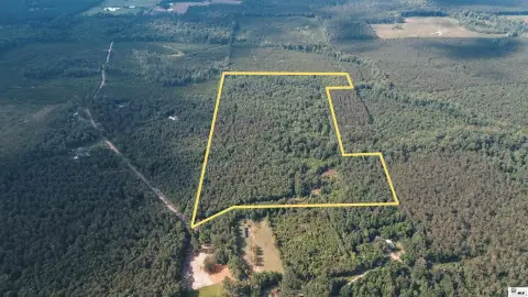 Timberland with Pond and Road Access
