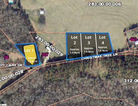 Residential Lot in Woodruff, SC