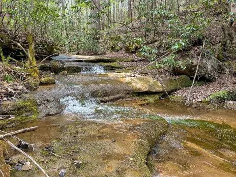 288 Acres in Eastern Kentucky
