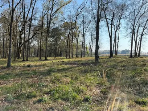 Residential Land in Cowarts, AL