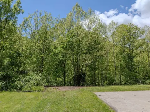 Undeveloped Commercial Land in Morehead