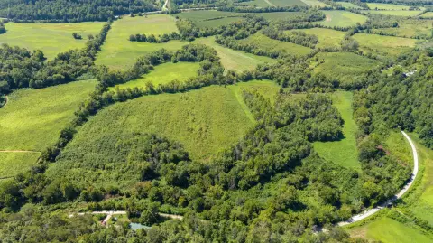 Vacant Lot in Irvine, KY