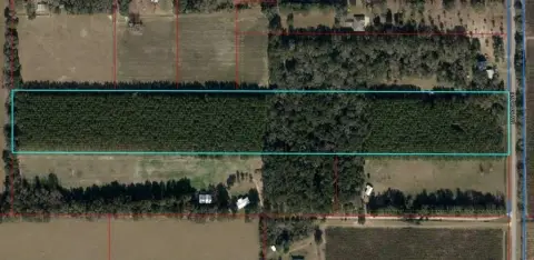 20 Acres Between Chiefland & Trenton