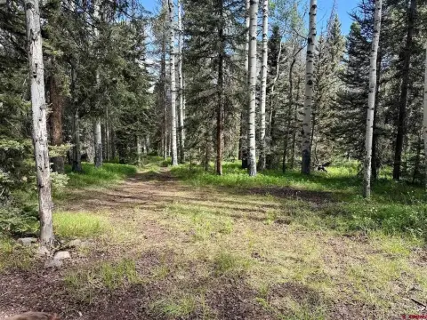 Wooded Mountain Recreation Land