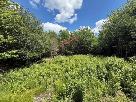 Recreational Land Parcel with Privacy
